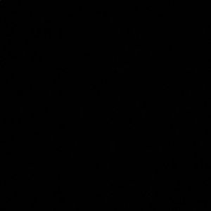 Meet your Posher, Hanieh